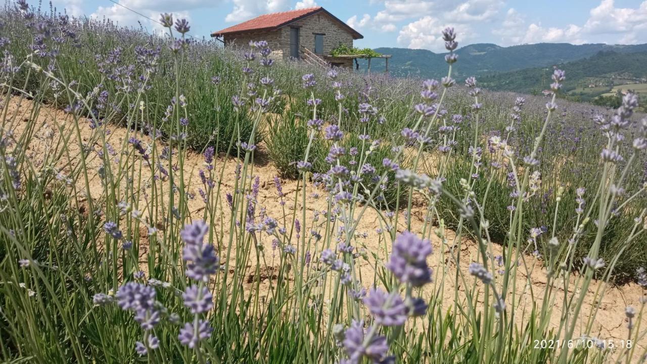 مبيت وإفطار Saliceto Cascina Boschetto المظهر الخارجي الصورة