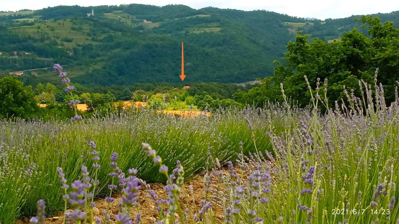 مبيت وإفطار Saliceto Cascina Boschetto المظهر الخارجي الصورة