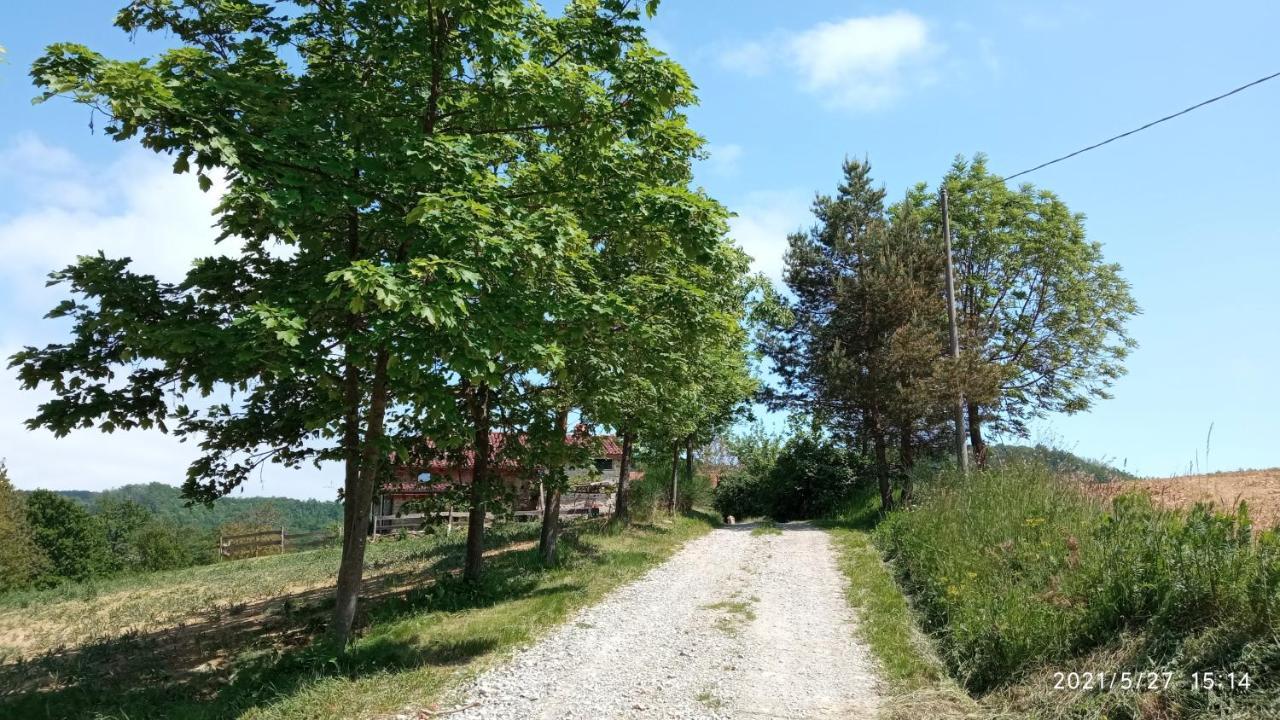 مبيت وإفطار Saliceto Cascina Boschetto المظهر الخارجي الصورة