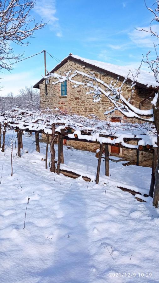 مبيت وإفطار Saliceto Cascina Boschetto المظهر الخارجي الصورة