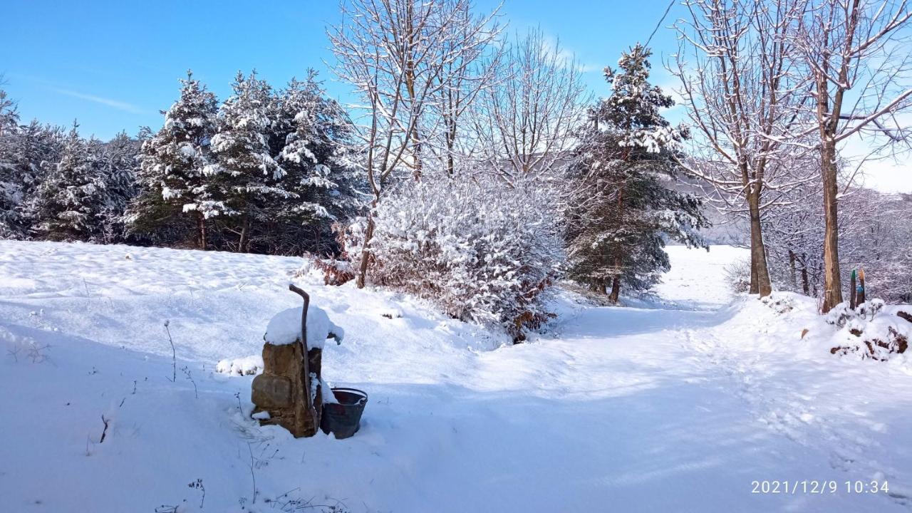 مبيت وإفطار Saliceto Cascina Boschetto المظهر الخارجي الصورة