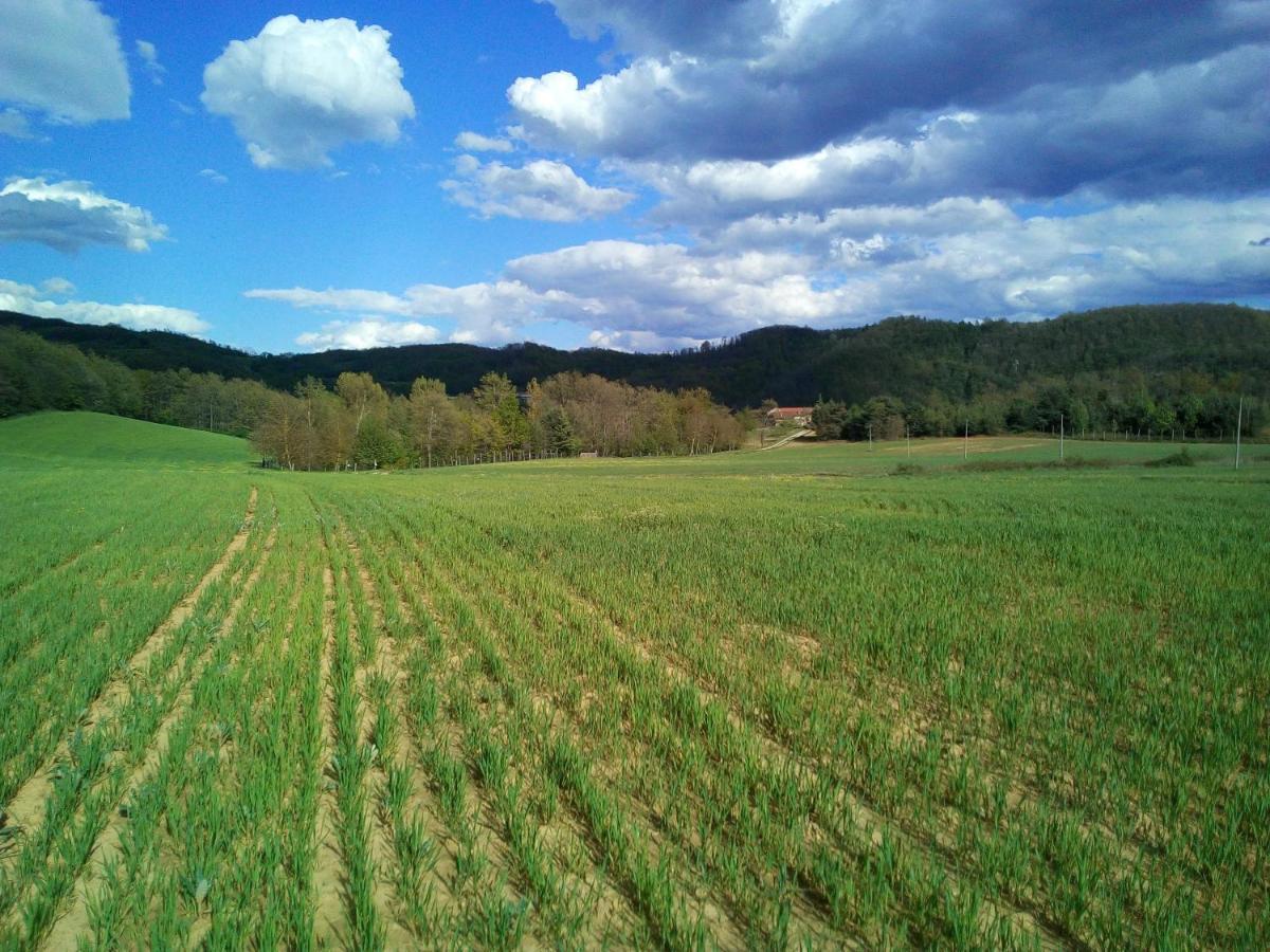 مبيت وإفطار Saliceto Cascina Boschetto المظهر الخارجي الصورة