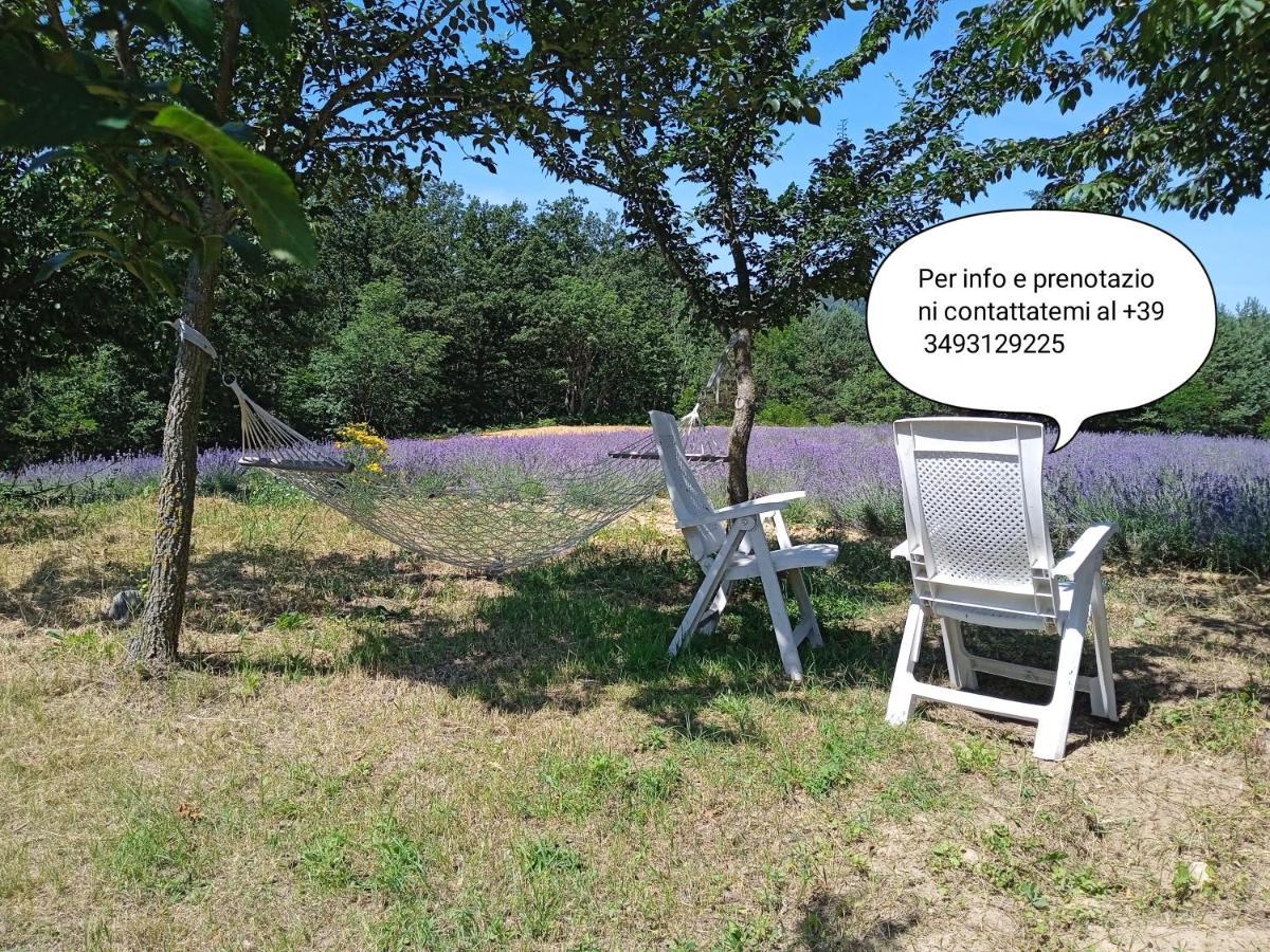مبيت وإفطار Saliceto Cascina Boschetto المظهر الخارجي الصورة